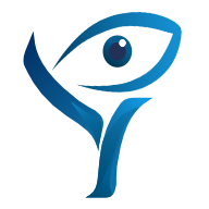 BlueYNetworks