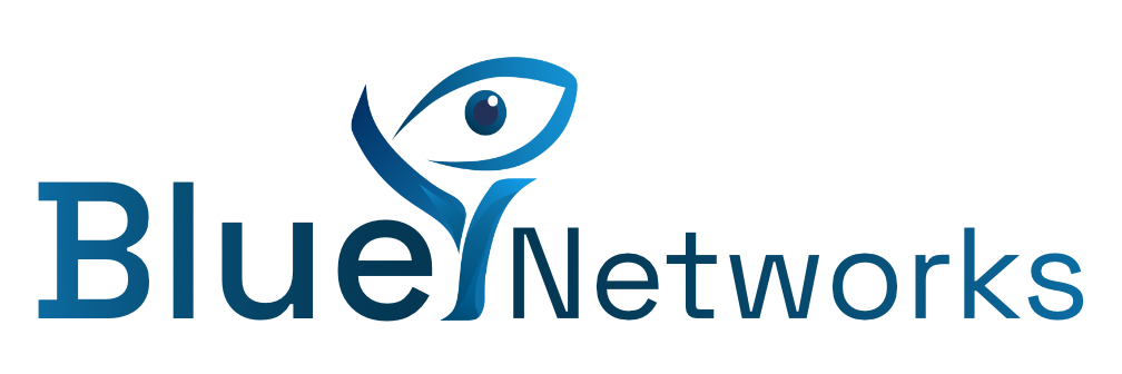 BlueYNetworks cybersecurity consulting logo